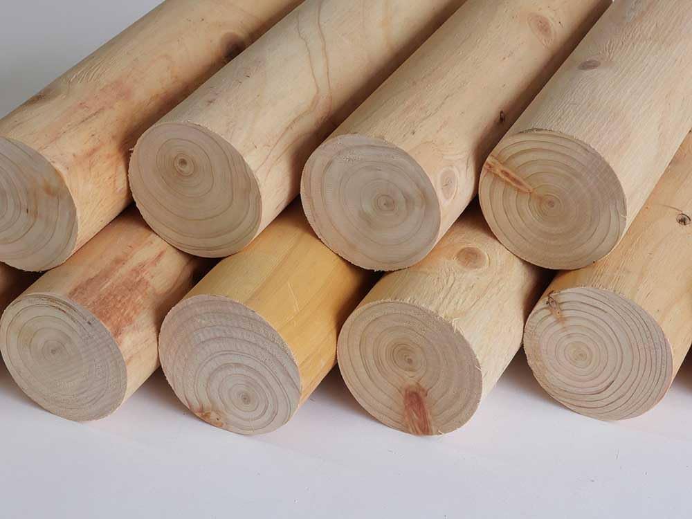 Amazon | ちび丸太310・8本1セット 園芸用 木工作用 丸太